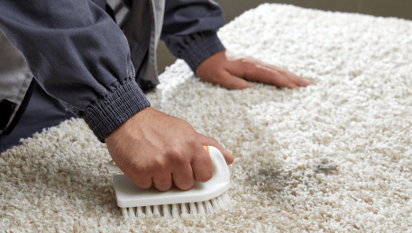 Professional Rug Cleaning Nar Nar Goon
